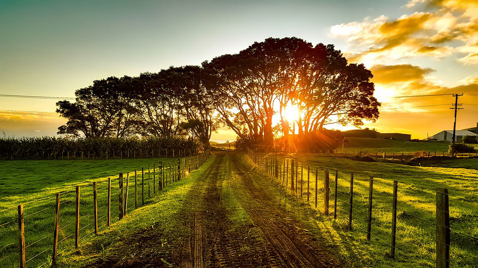 Manawatu Insurance